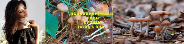 винт Абинск