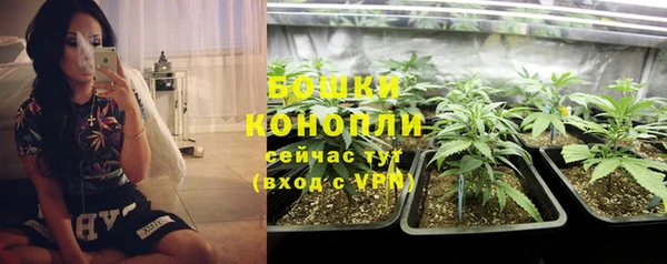 гидра Абдулино