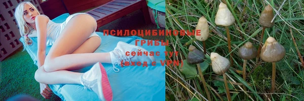 гидра Абдулино